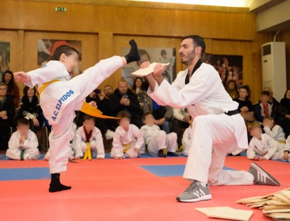 Τα Δημοτικό μας διαπρέπει και στις πολεμικές τέχνες!