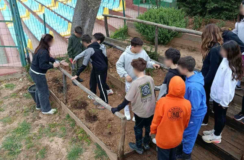 Ο βοτανικός μας κήπος